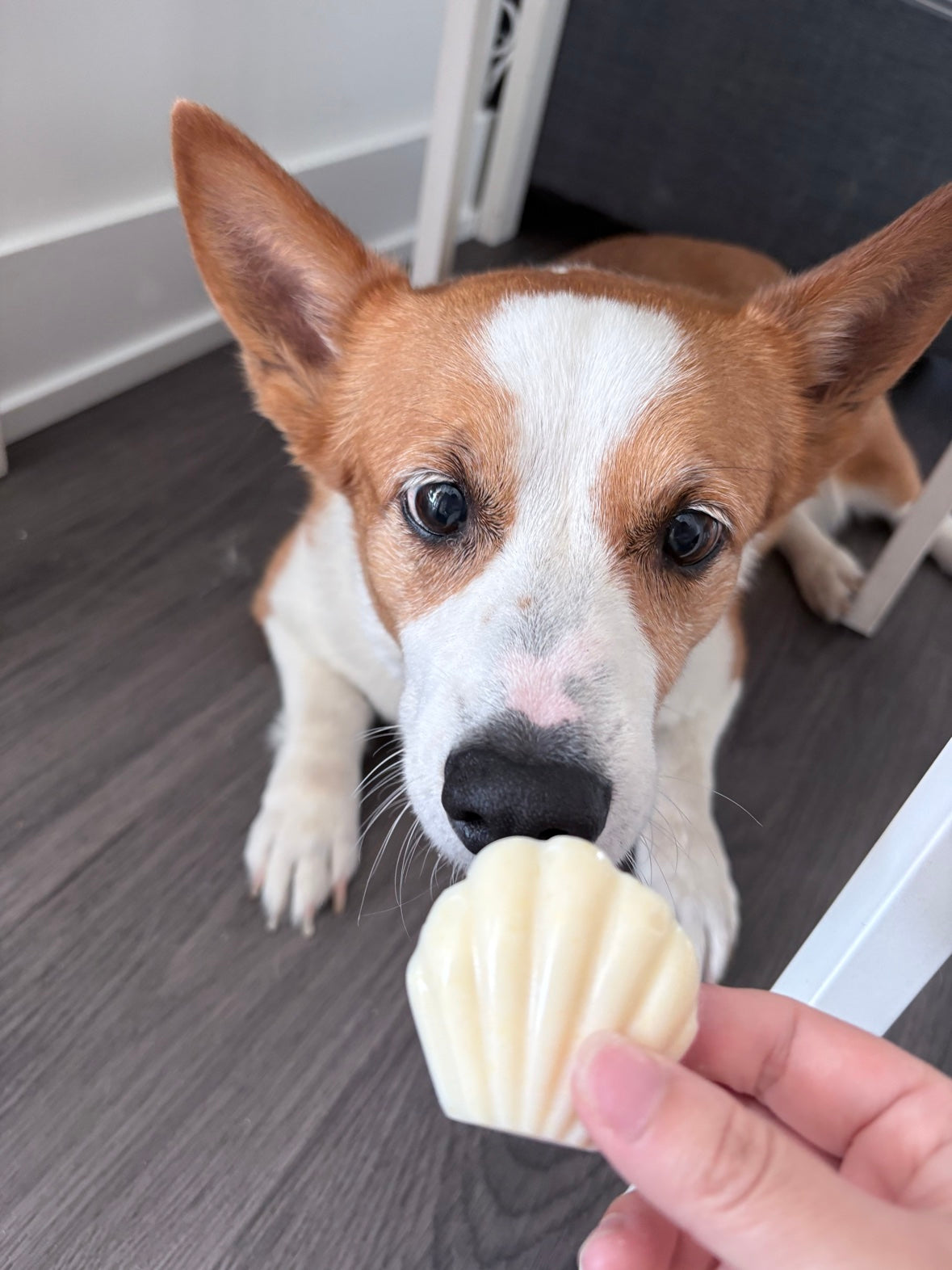 Madeleine Cake 玛德琳蛋糕