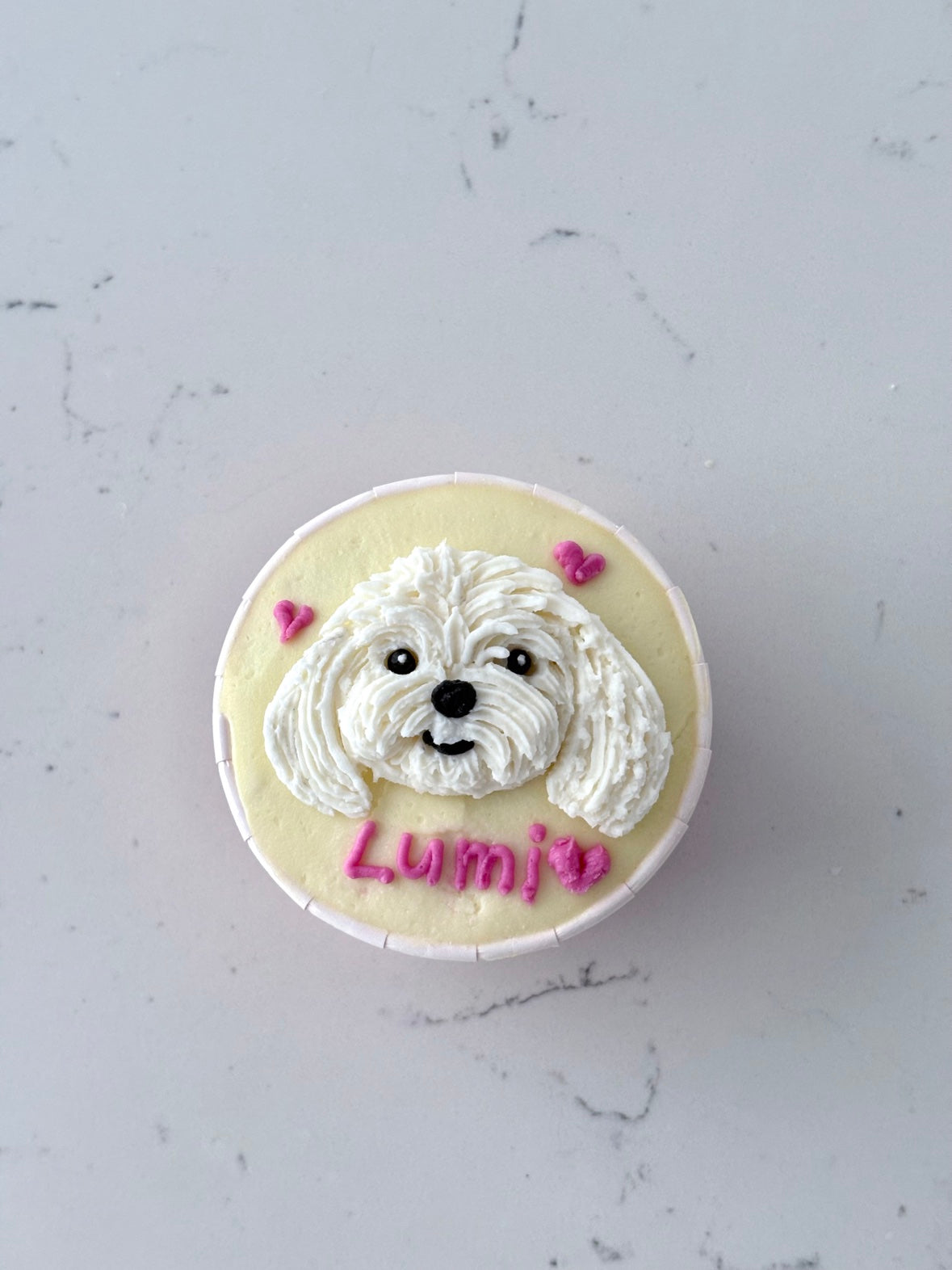 2D Portrait Cupcake