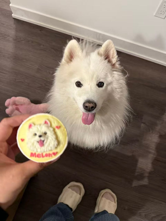 2D Portrait Cupcake